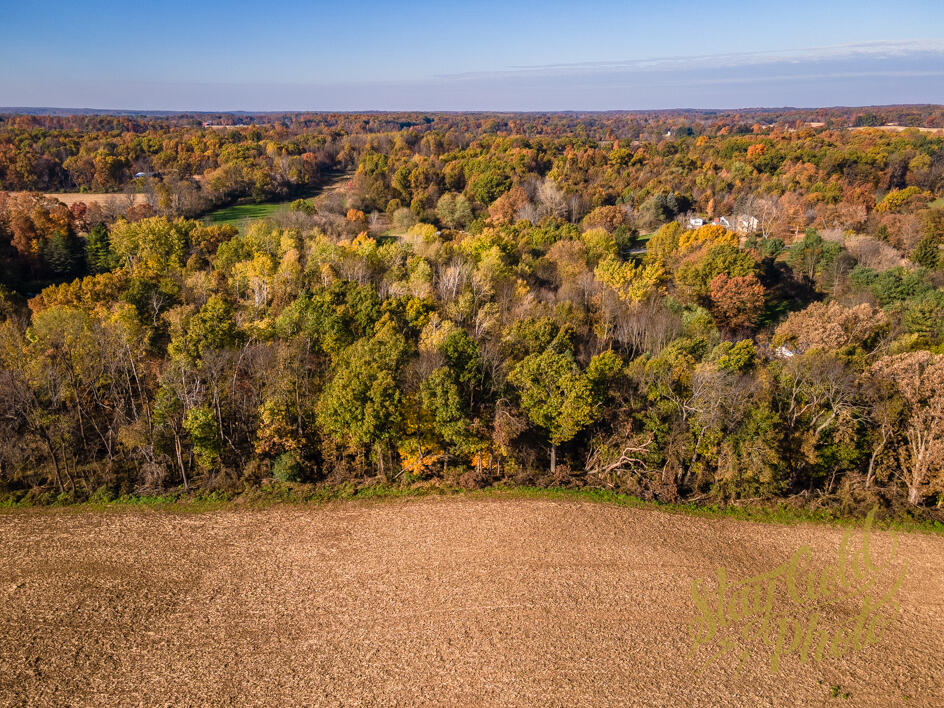 V/l Moscow Road Hanover, MI 49241 - Photo 12 of 15 DJI_0017