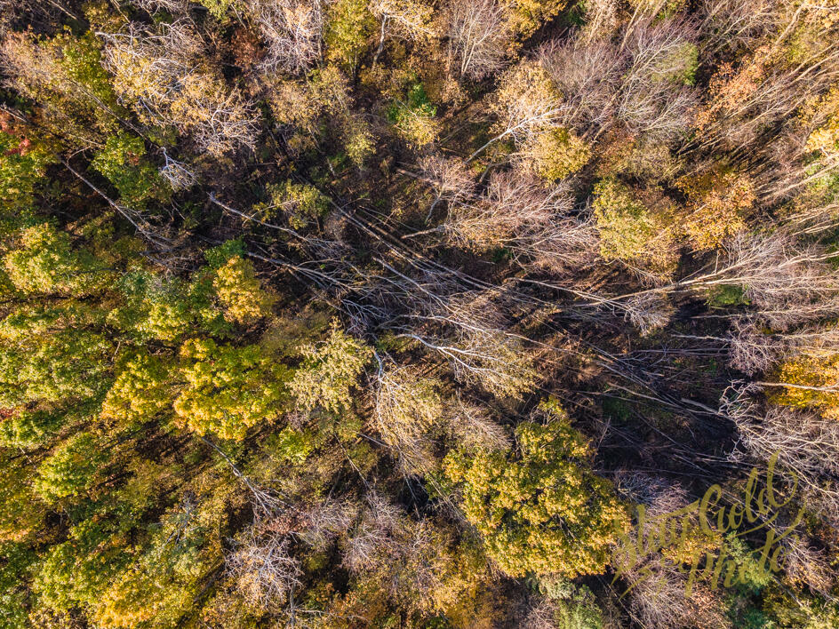 V/l Moscow Road Hanover, MI 49241 - Photo 14 of 15 DJI_0019