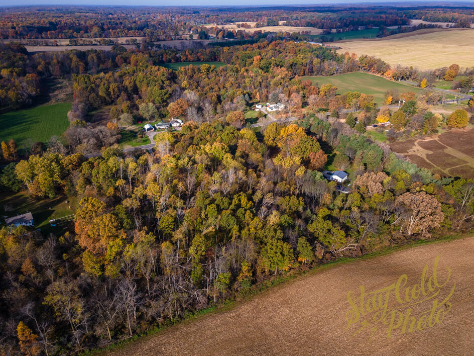 V/l Moscow Road Hanover, MI 49241 - Photo 3 of 15 DJI_0008