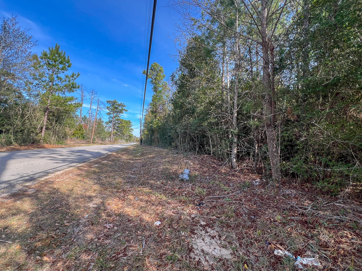 0 Fresenius Road Silsbee, TX 77656 - Photo 4 of 13 a view of a yard with plants and trees