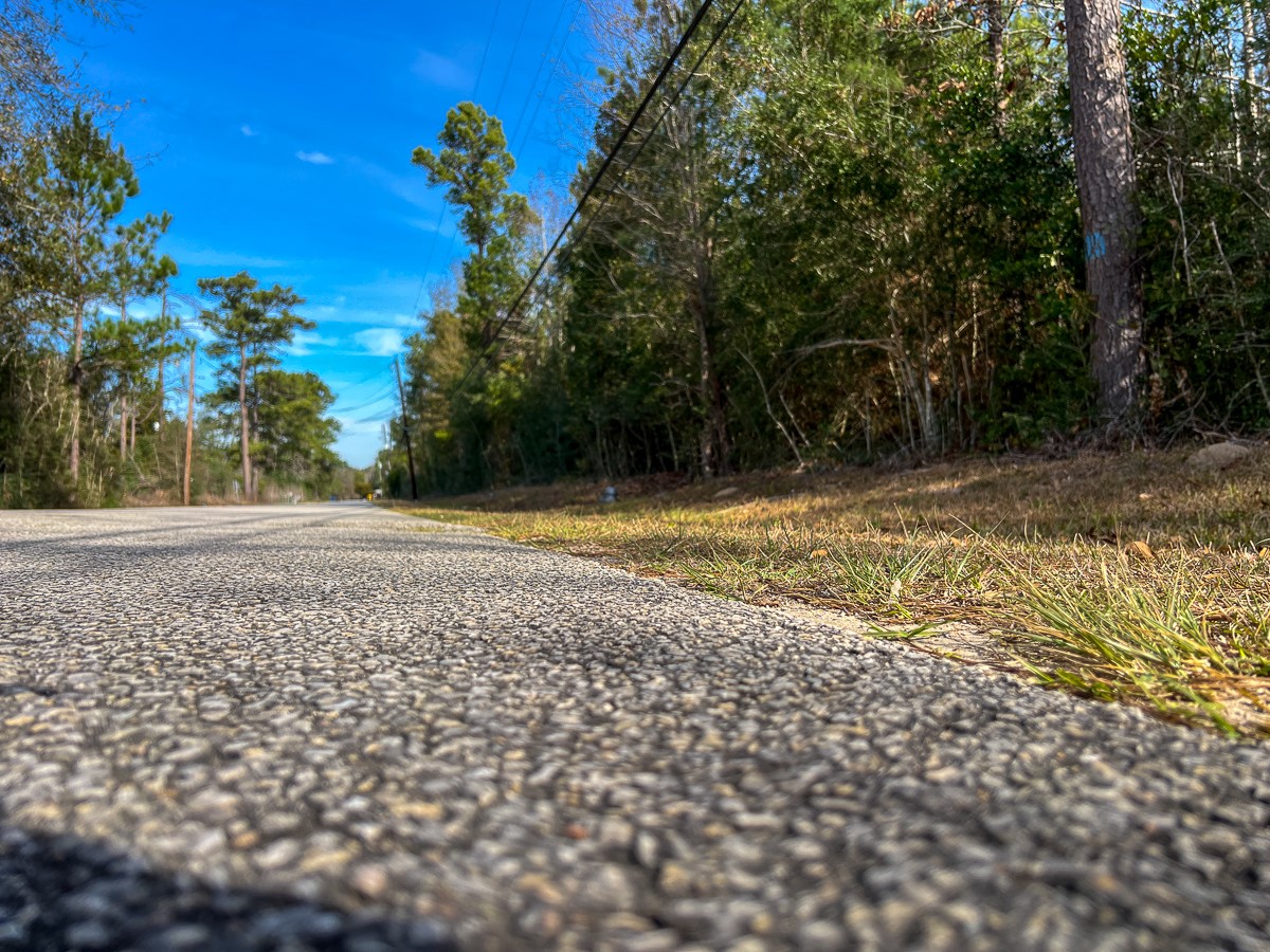 0 Fresenius Road Silsbee, TX 77656 - Photo 5 of 13 a view of a yard with trees