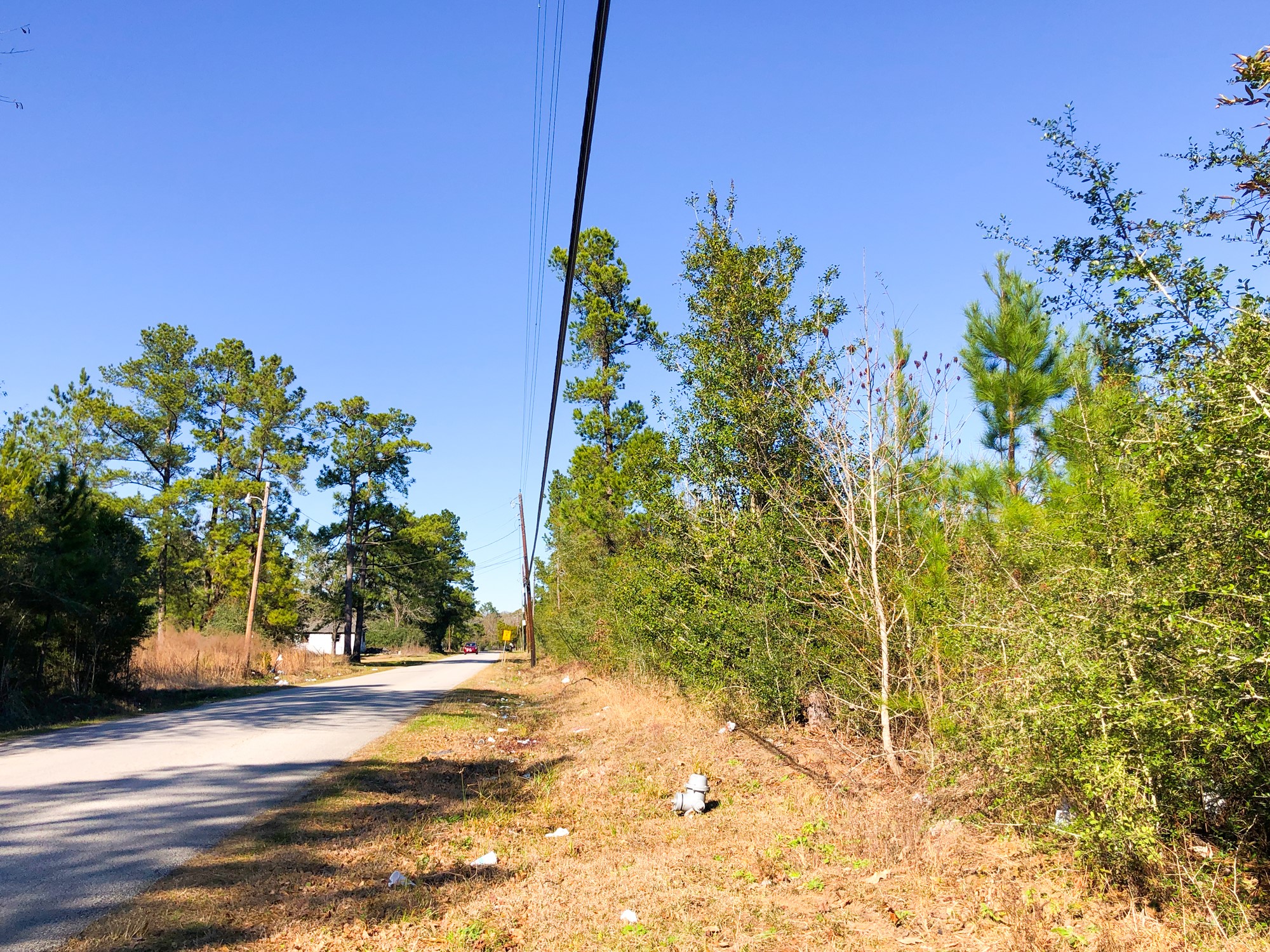 0 Fresenius Road Silsbee, TX 77656 - Photo 6 of 13 a view of a yard with plants