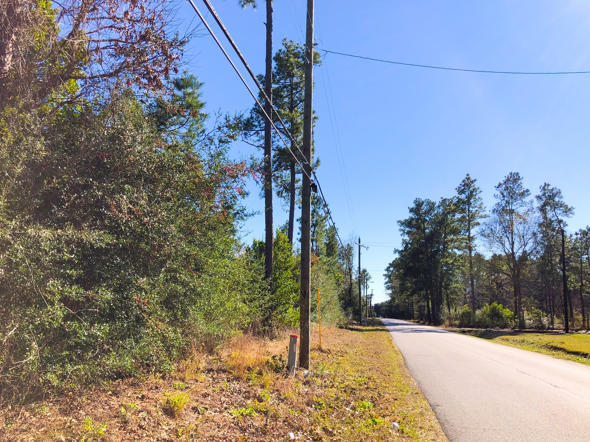 0 Fresenius Road Silsbee, TX 77656 - Photo 7 of 13 a view of a park with a tree