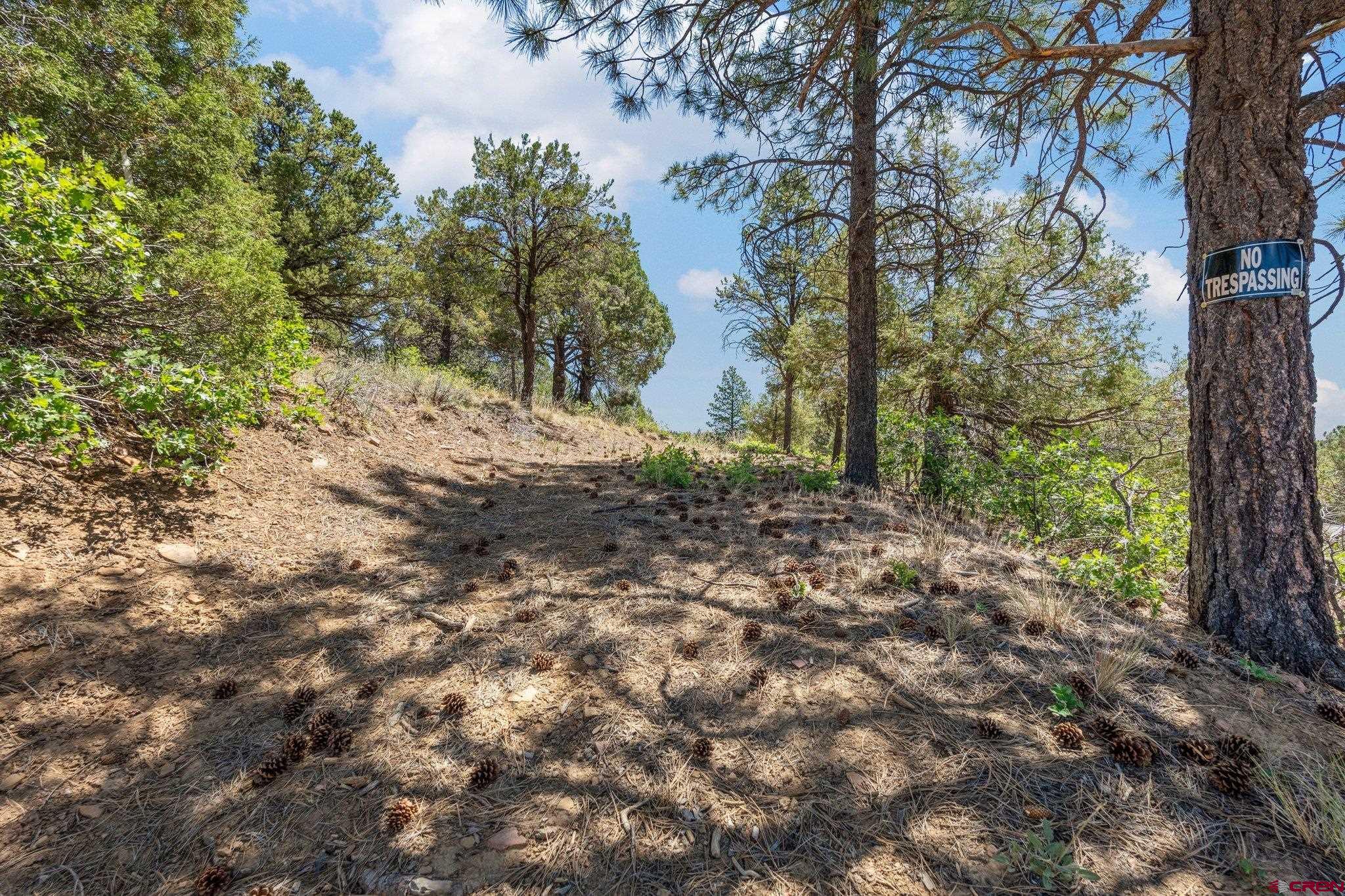 285 Logging Trail Road Durango, CO 81303 - Photo 13 of 15