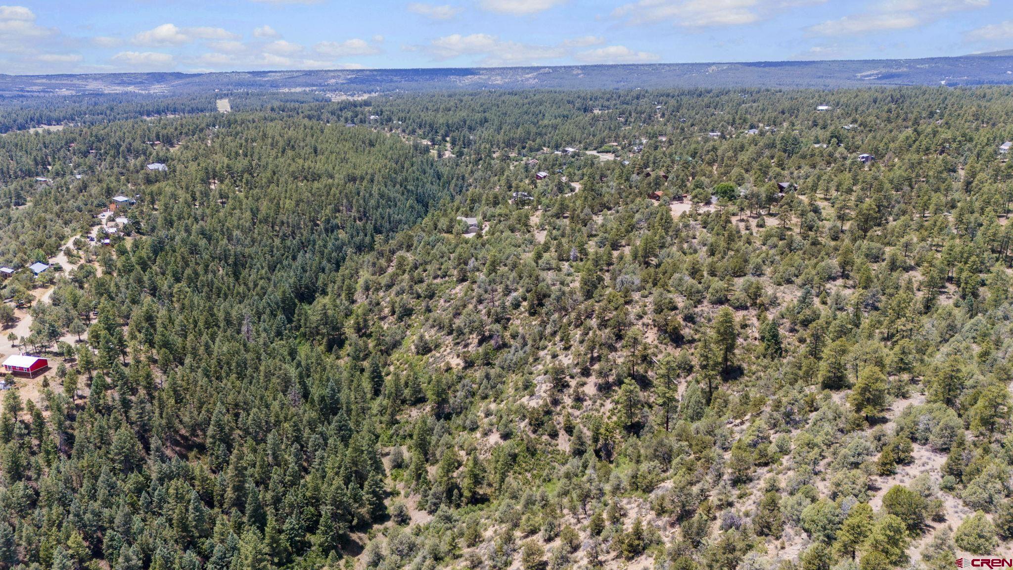 285 Logging Trail Road Durango, CO 81303 - Photo 4 of 15