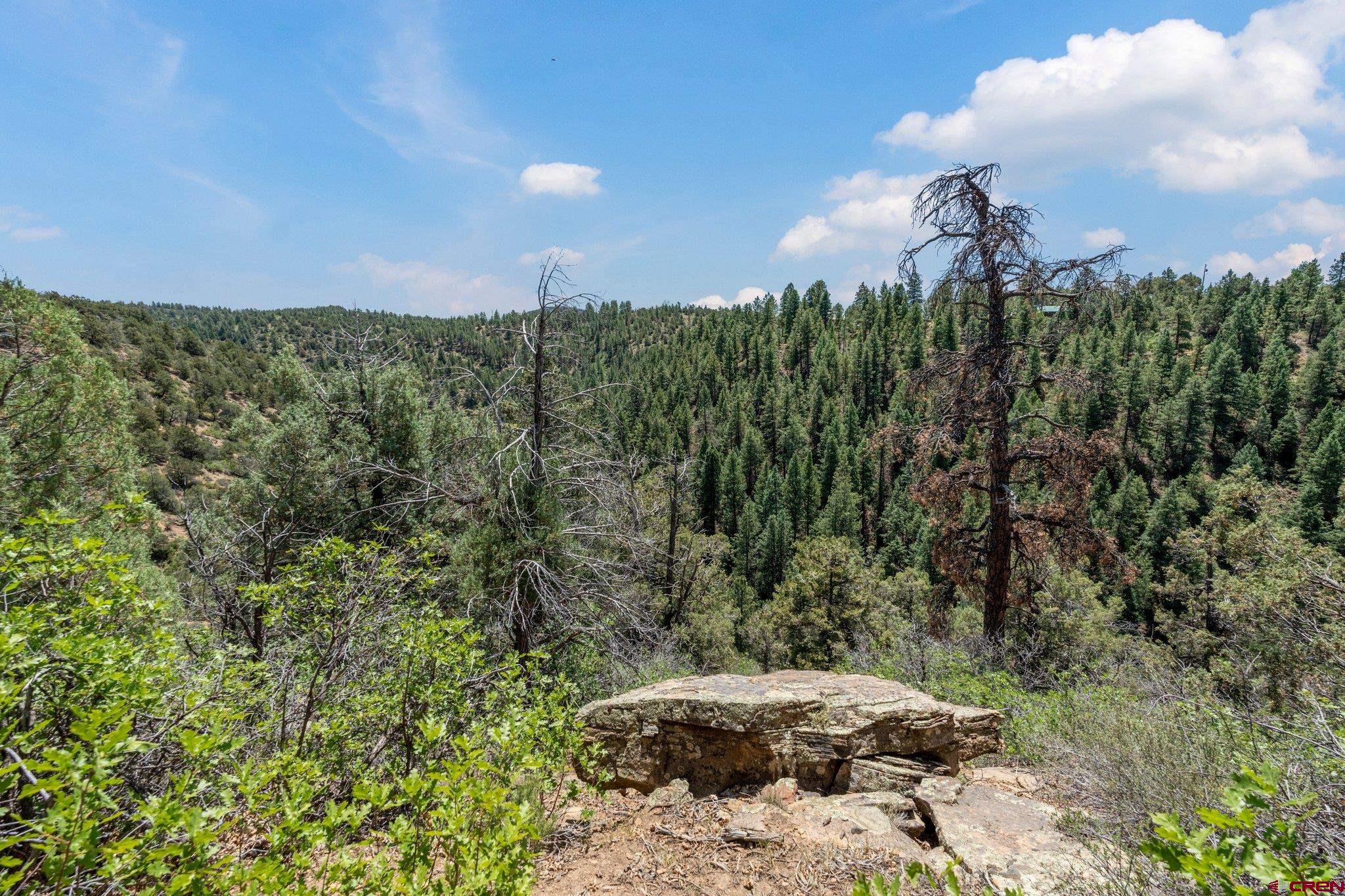 285 Logging Trail Road Durango, CO 81303 - Photo 5 of 15