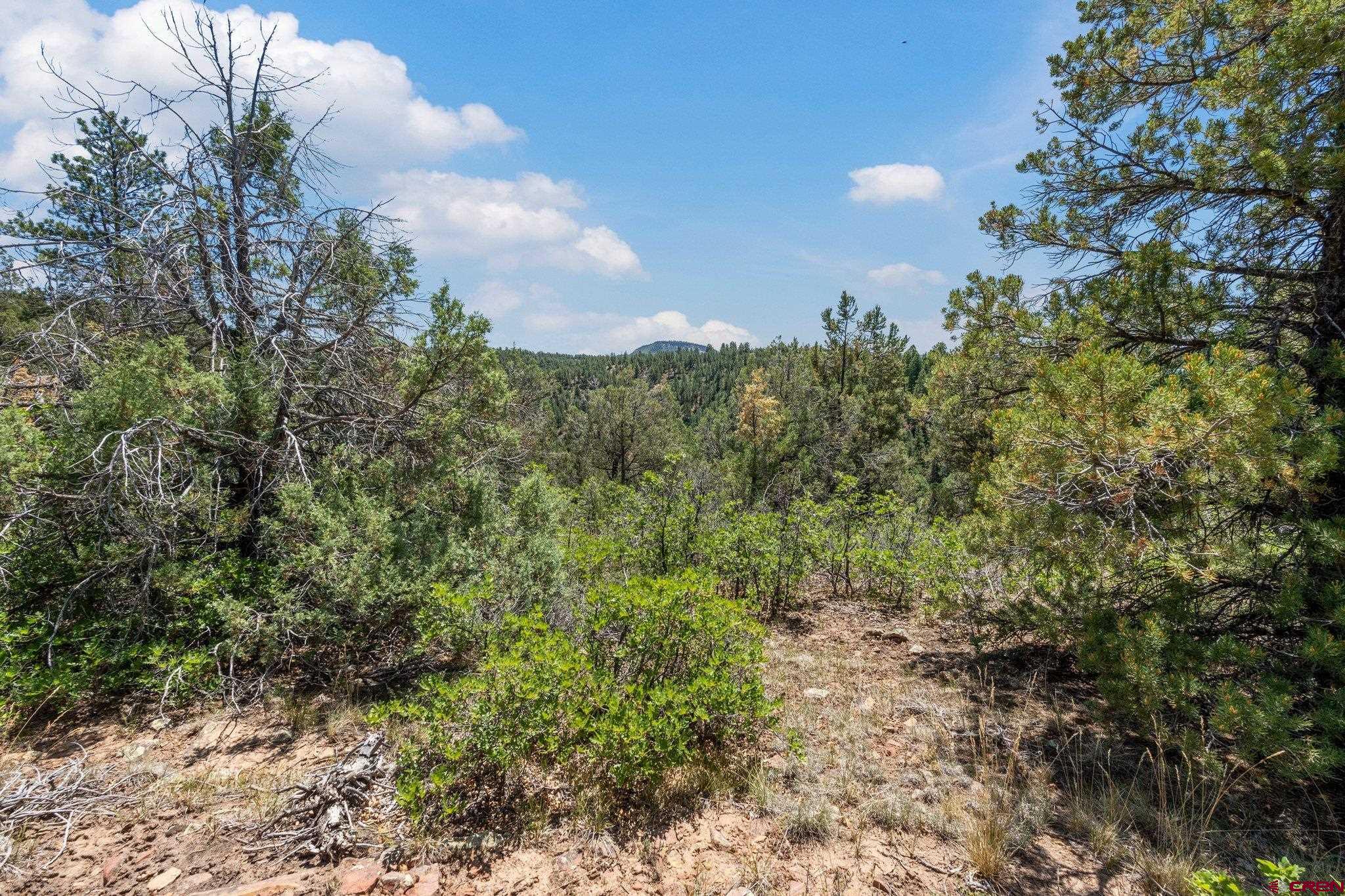 285 Logging Trail Road Durango, CO 81303 - Photo 7 of 15