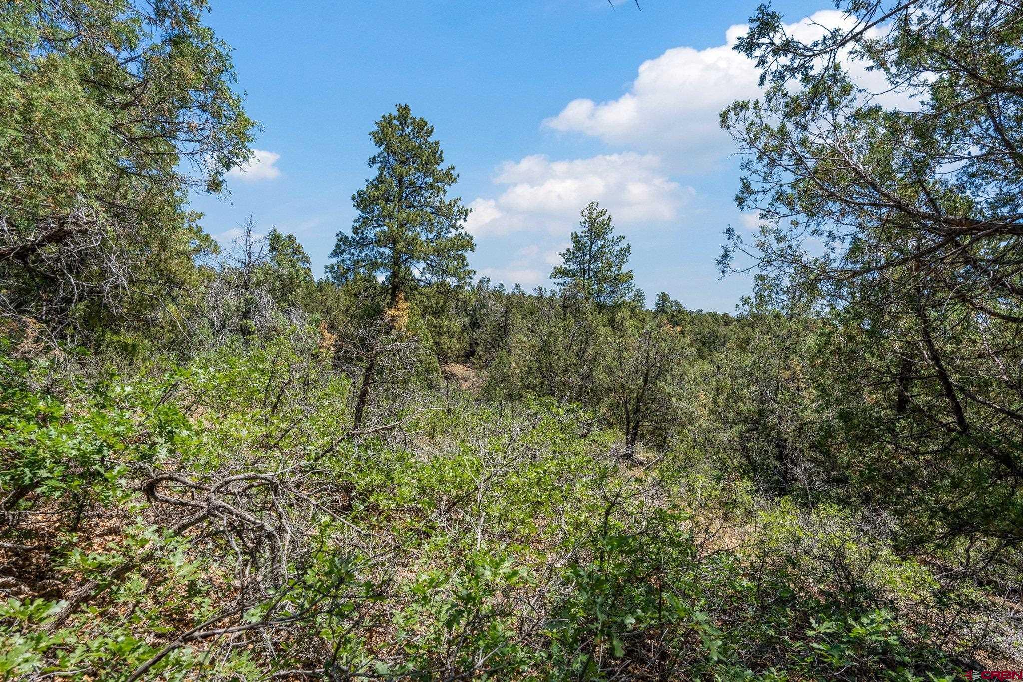 285 Logging Trail Road Durango, CO 81303 - Photo 8 of 15