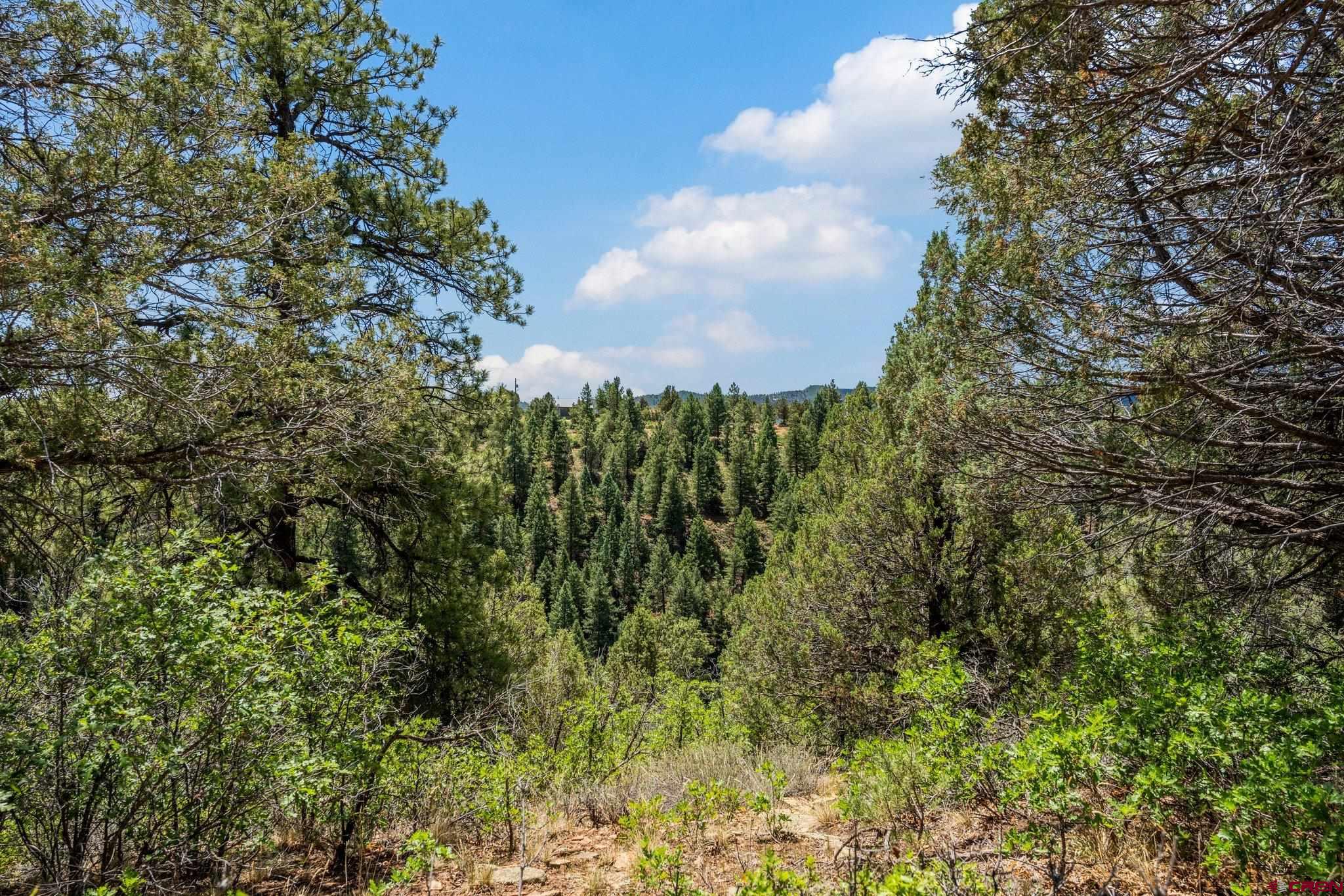 285 Logging Trail Road Durango, CO 81303 - Photo 9 of 15