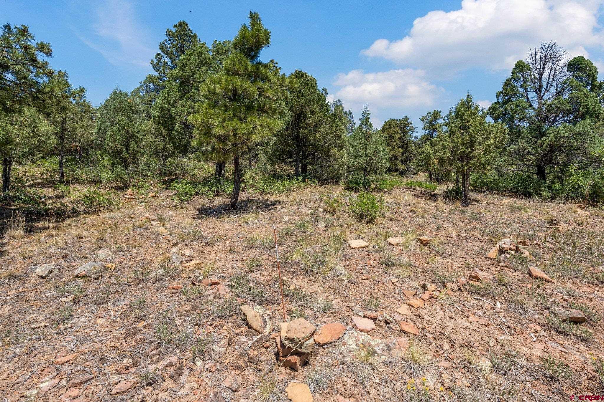 285 Logging Trail Road Durango, CO 81303 - Photo 10 of 15