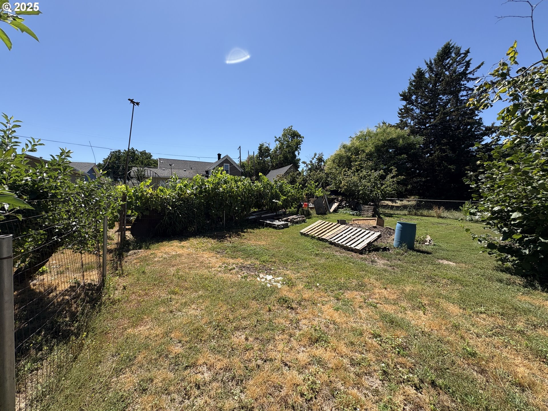 810 Taylor Mount Angel, OR 97362 - Photo 24 of 25 a view of a yard with a slide