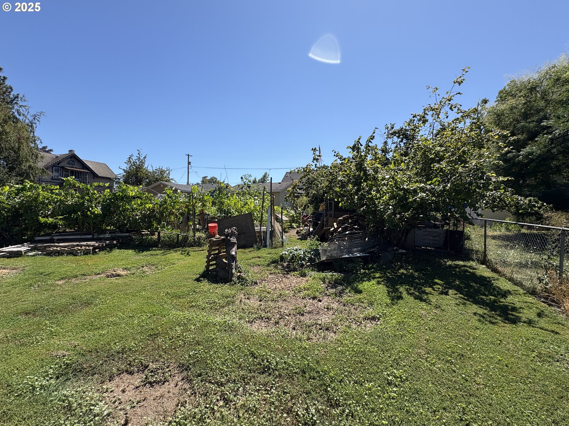 810 Taylor Mount Angel, OR 97362 - Photo 25 of 25 a backyard of a house with lots of green space