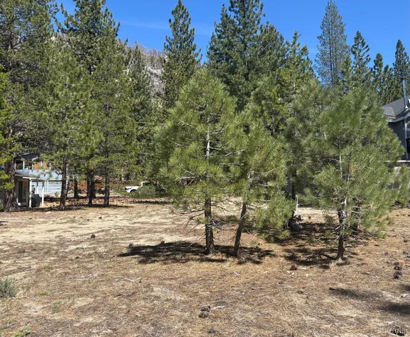 a view of road and trees