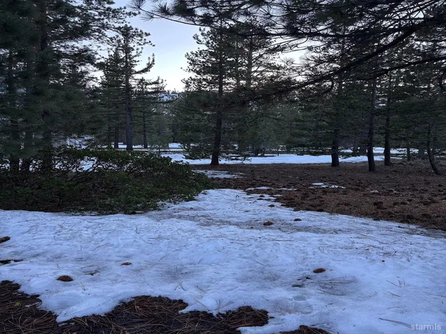 a view of dirt yard with a large tree