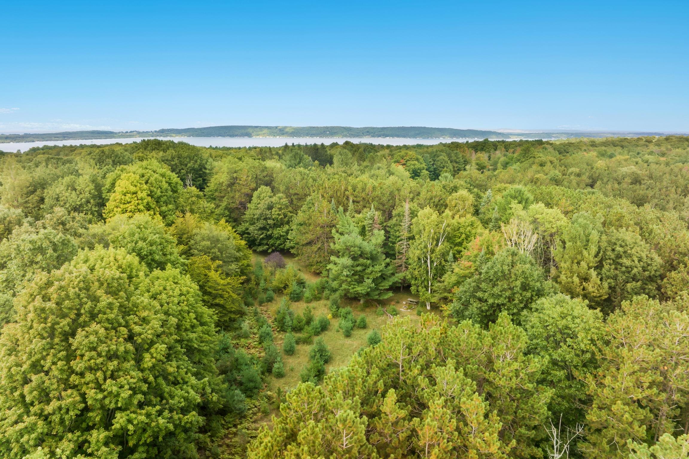 C Pautz Road Frankfort, MI 49635 - Photo 3 of 13