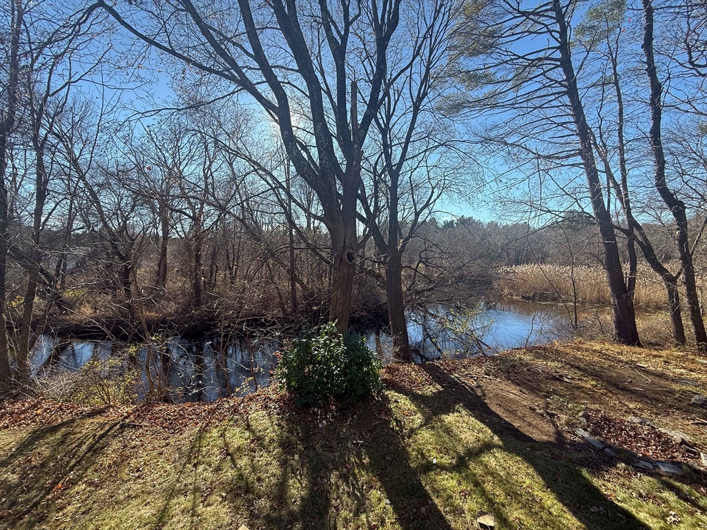 4 Shaw Street Medway, MA 02053 - Photo 40 of 42