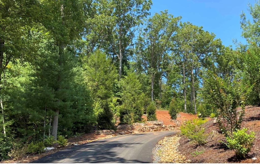 11 Haven Way Blue Ridge, GA 30513 - Photo 16 of 21 Gallery Image 16