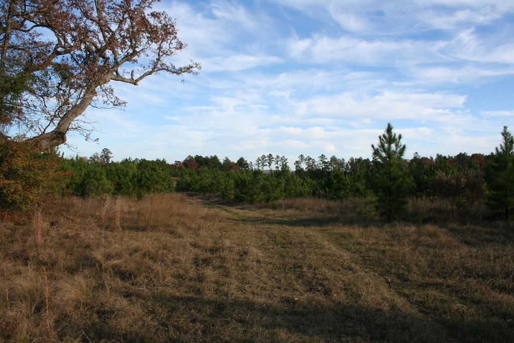 0 Adams-Reeves Road Dearing, GA 30808 - Photo 2 of 2