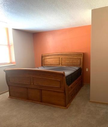 31 Chestnut Street East, Unit 9 Trimont, MN 56176 - Photo 12 of 43