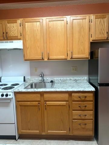 31 Chestnut Street East, Unit 9 Trimont, MN 56176 - Photo 4 of 43
