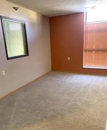 31 Chestnut Street East, Unit 9 Trimont, MN 56176 - Photo 7 of 43