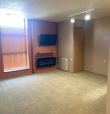 31 Chestnut Street East, Unit 9 Trimont, MN 56176 - Photo 9 of 43