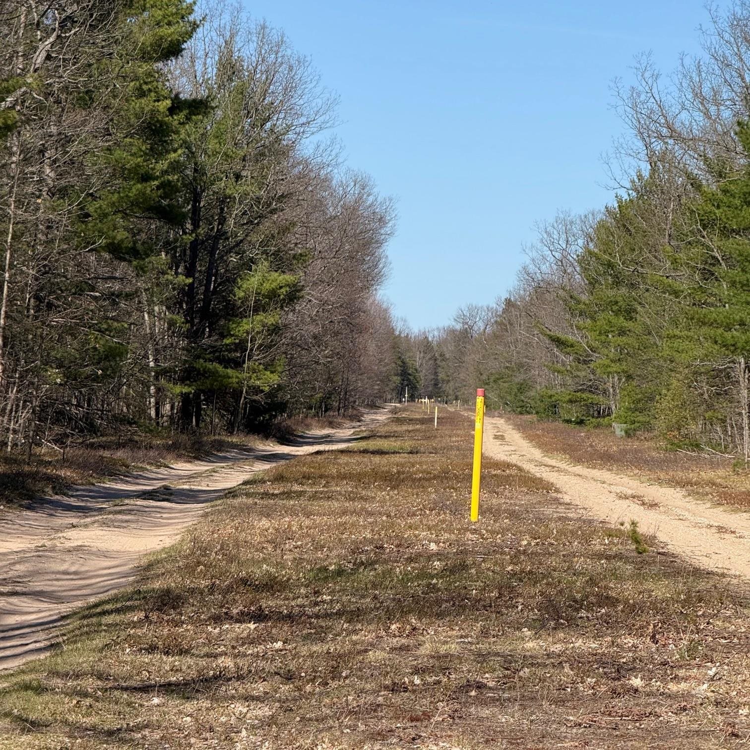 C Scharmen Road Traverse City, MI 49696 - Photo 2 of 11