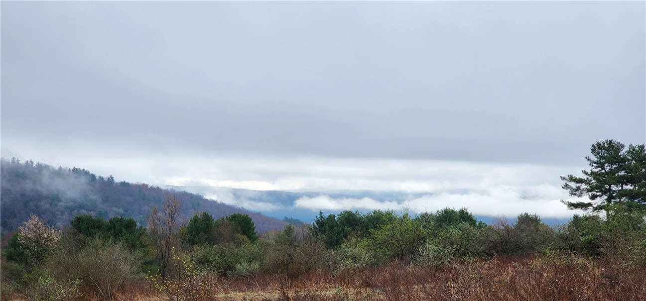 0 Goodnough Road Afton, NY 13730 - Photo 1 of 1 Gallery Image 1