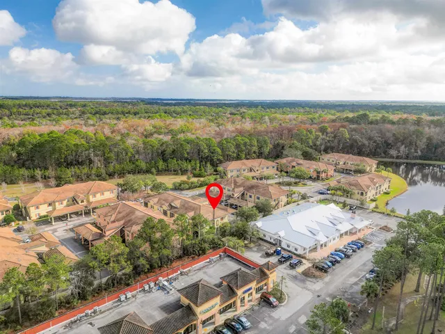 a view of a lake with palm trees