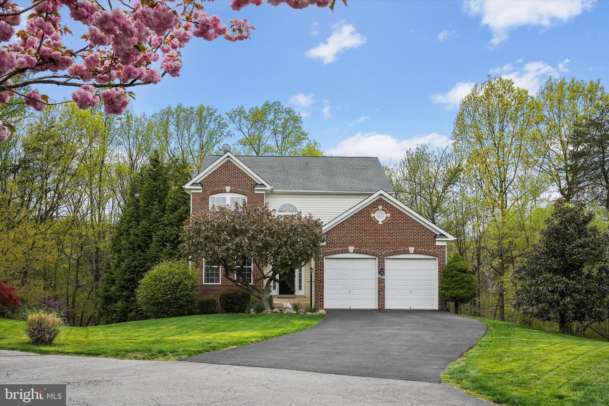8480 Catia Lane Springfield, VA 22153 - Photo 1 of 38 Gallery Image 1