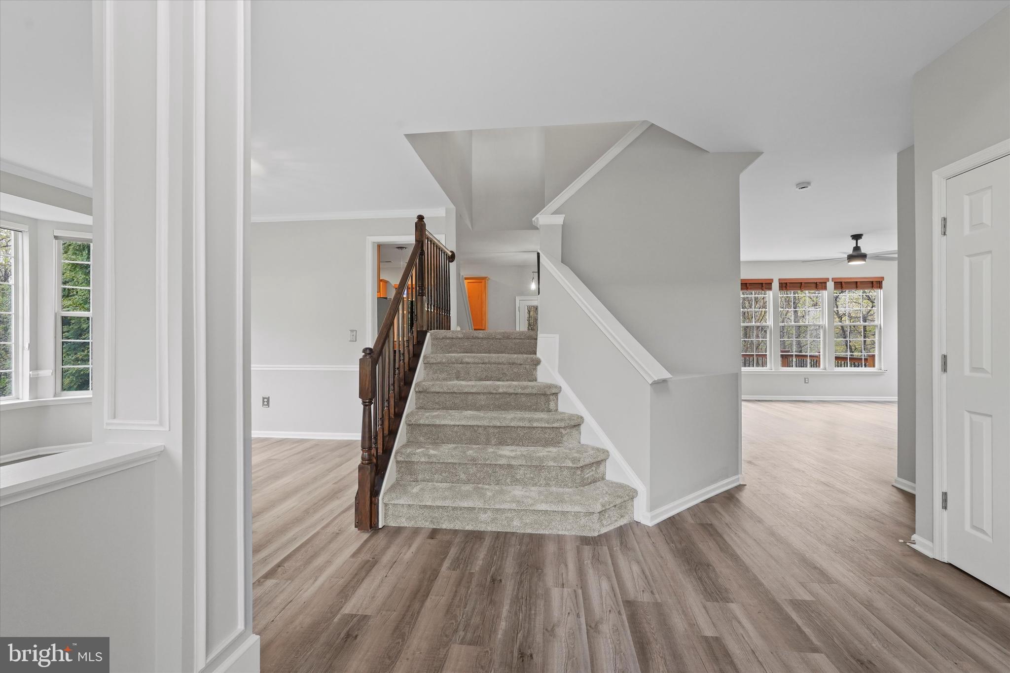 8480 Catia Lane Springfield, VA 22153 - Photo 2 of 38 Gallery Image 2