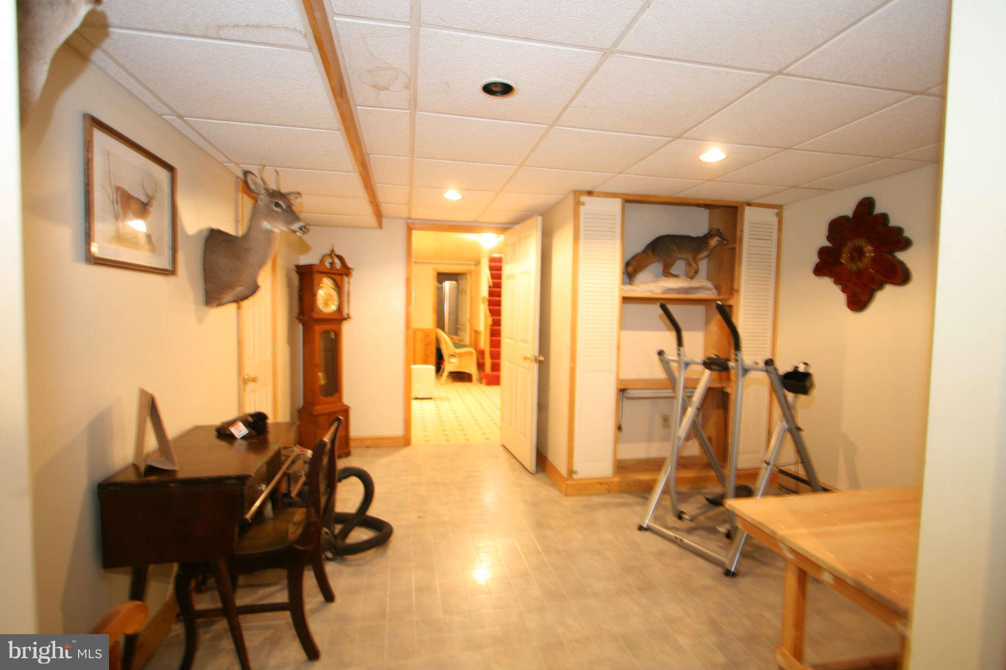 4329 Middlepoint Road Myersville, MD 21773 - Photo 22 of 29 Basement