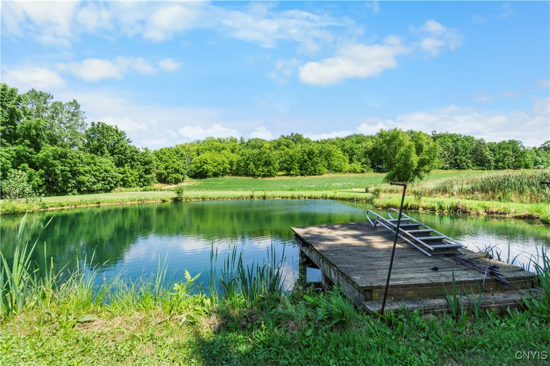 7410 Rice Road Throop, NY 13021 - Photo 37 of 45 The pond (with bass)
