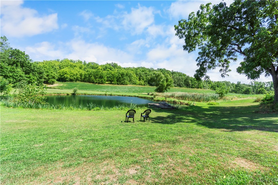 7410 Rice Road Throop, NY 13021 - Photo 38 of 45