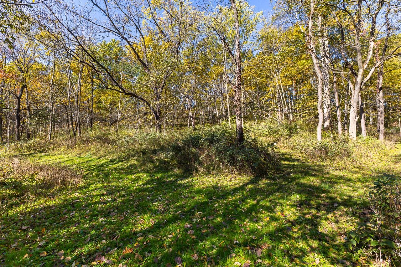 Tbd West Schapville Road Elizabeth, IL 61075 - Photo 1 of 8 Gallery Image 1