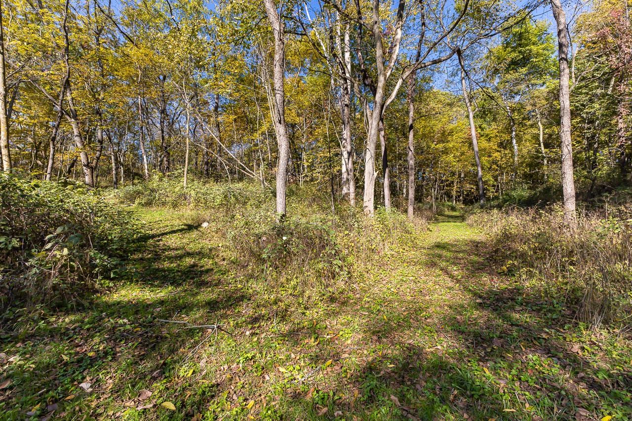Tbd West Schapville Road Elizabeth, IL 61075 - Photo 2 of 8 Gallery Image 2