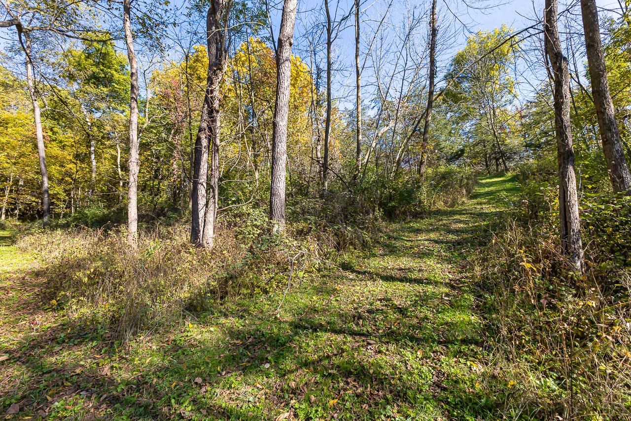 Tbd West Schapville Road Elizabeth, IL 61075 - Photo 3 of 8 Gallery Image 3