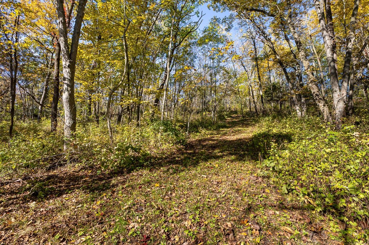 Tbd West Schapville Road Elizabeth, IL 61075 - Photo 5 of 8 Gallery Image 5