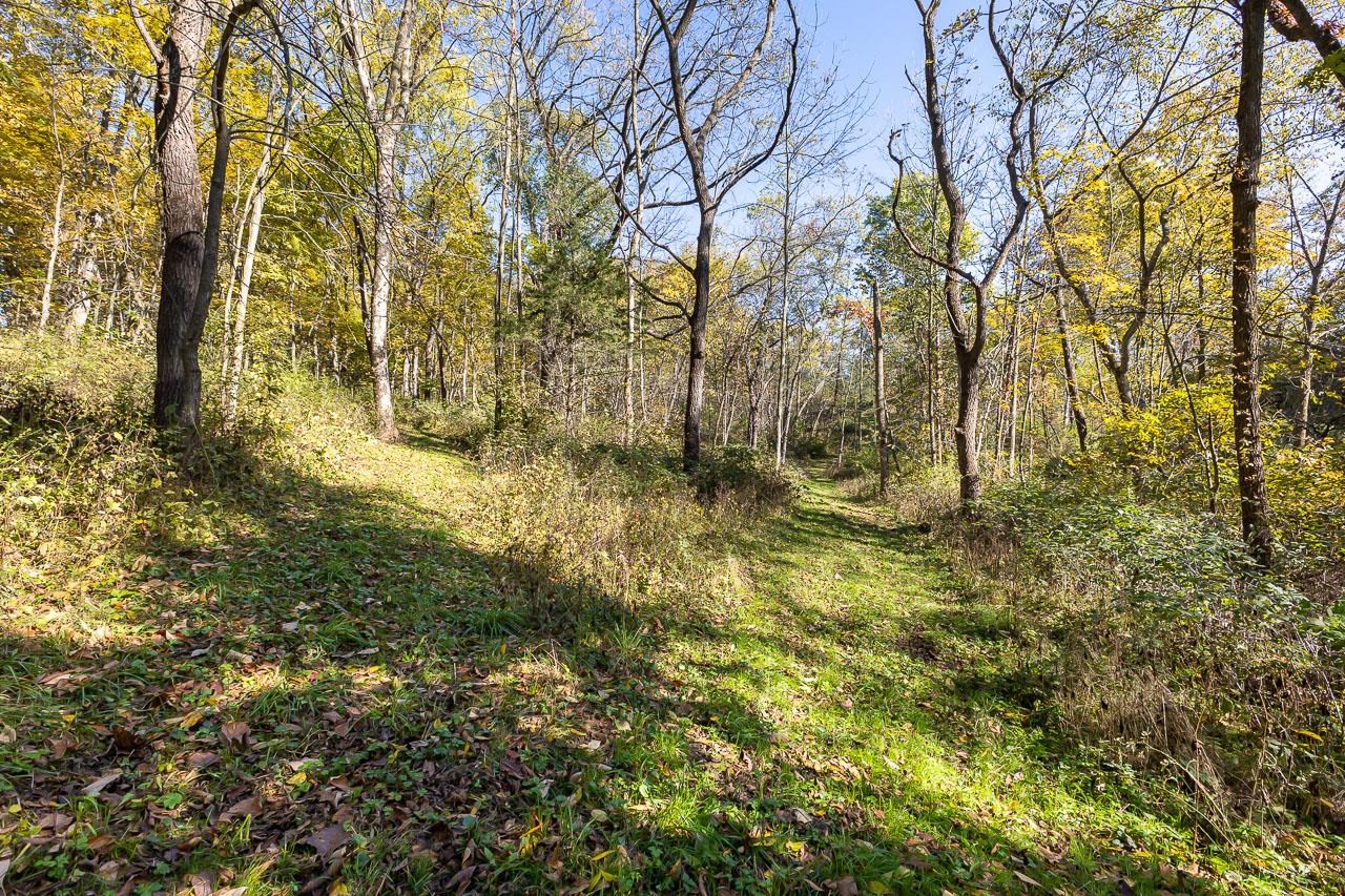 Tbd West Schapville Road Elizabeth, IL 61075 - Photo 7 of 8 Gallery Image 7