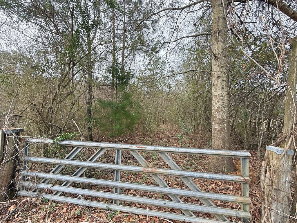 0 Freddie Whiddon Road Webb, AL 36376 - Photo 15 of 17