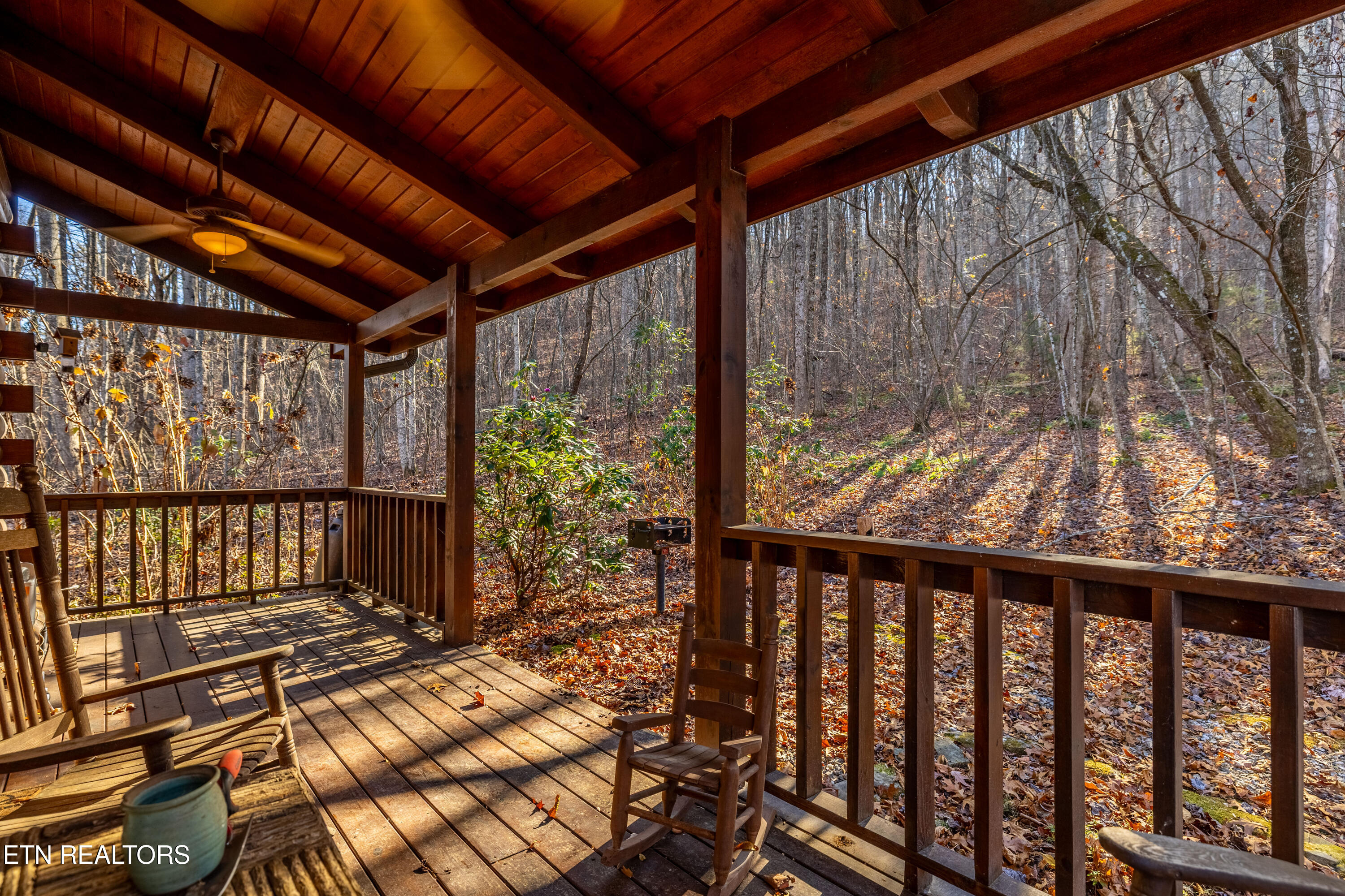 438 Forest Service Road Englewood, TN 37329 - Photo 24 of 30 438StarrMountainRd-9