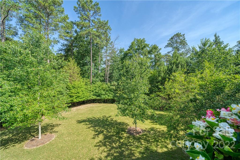 2086 Calloway Pines Drive Tega Cay, SC 29708 - Photo 23 of 47 a backyard of a house with lots of green space and chair