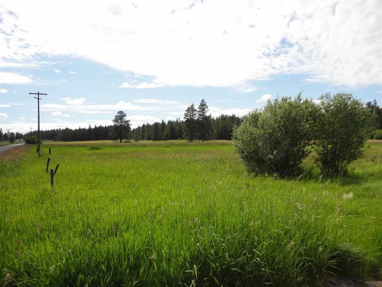 29212 South North Kentuck Trails Road Spangle, WA 99031 - Photo 2 of 15