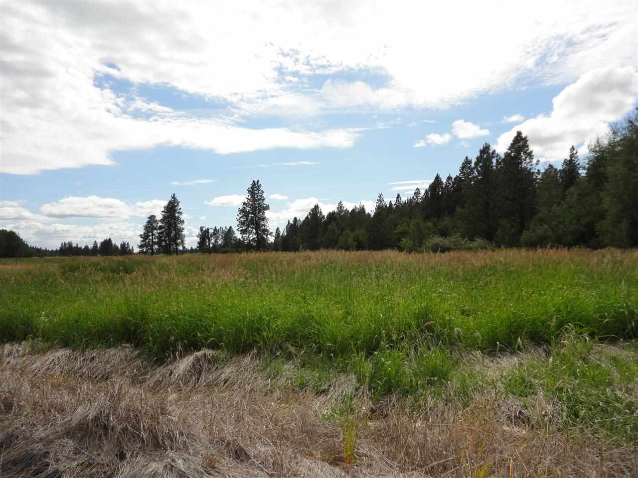 29212 South North Kentuck Trails Road Spangle, WA 99031 - Photo 11 of 15