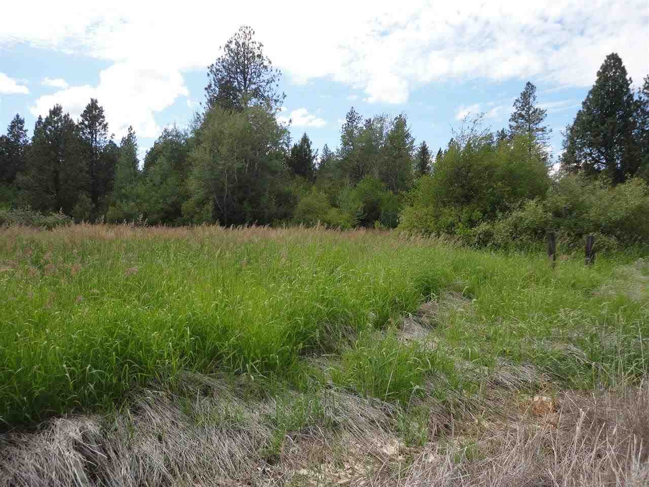 29212 South North Kentuck Trails Road Spangle, WA 99031 - Photo 12 of 15