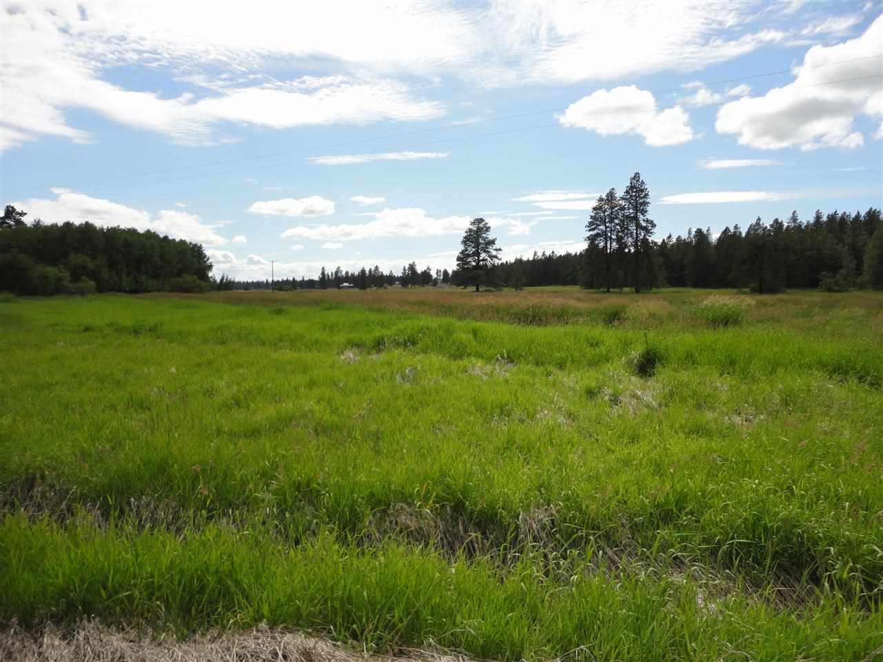 29212 South North Kentuck Trails Road Spangle, WA 99031 - Photo 14 of 15