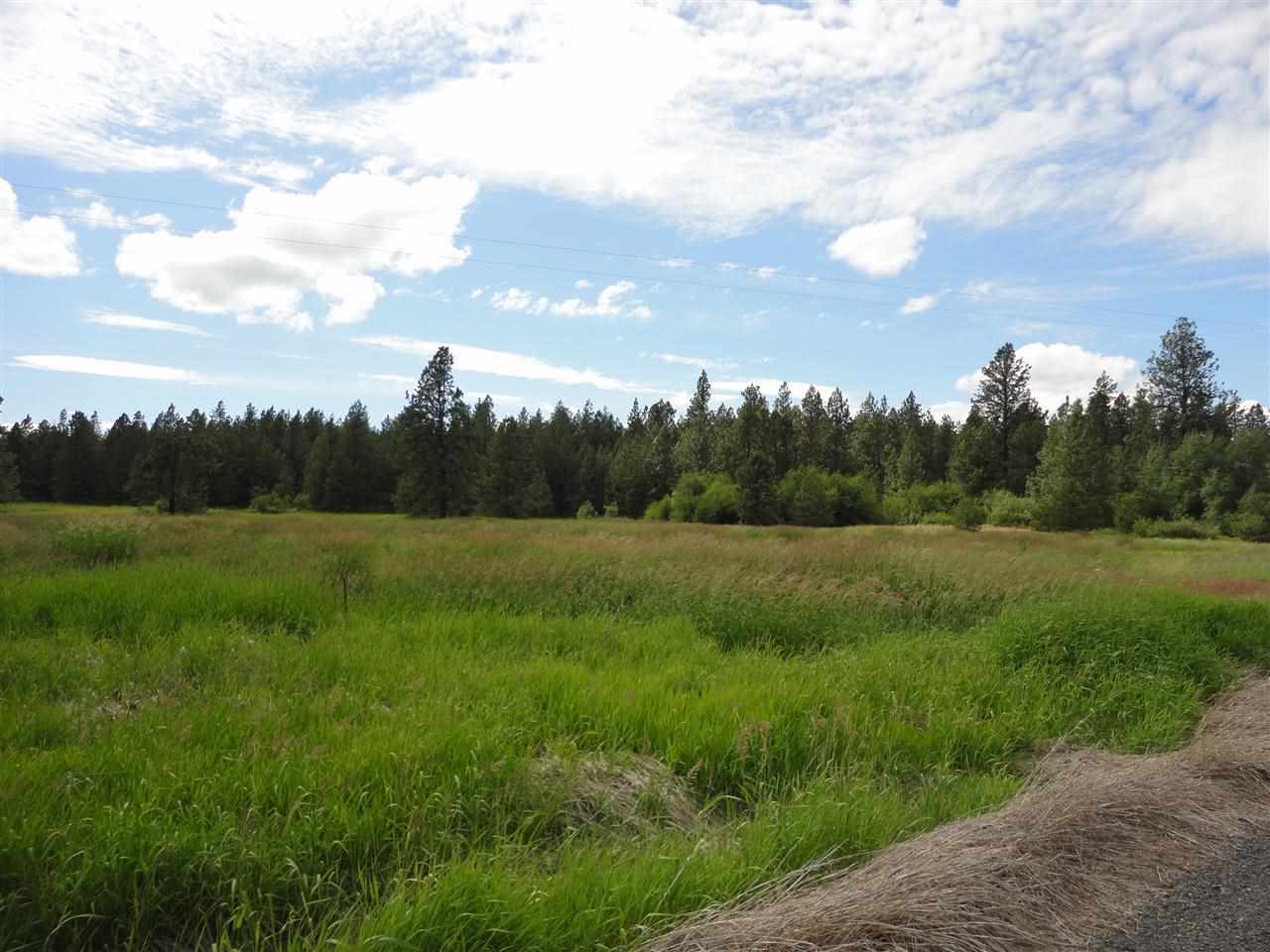 29212 South North Kentuck Trails Road Spangle, WA 99031 - Photo 15 of 15