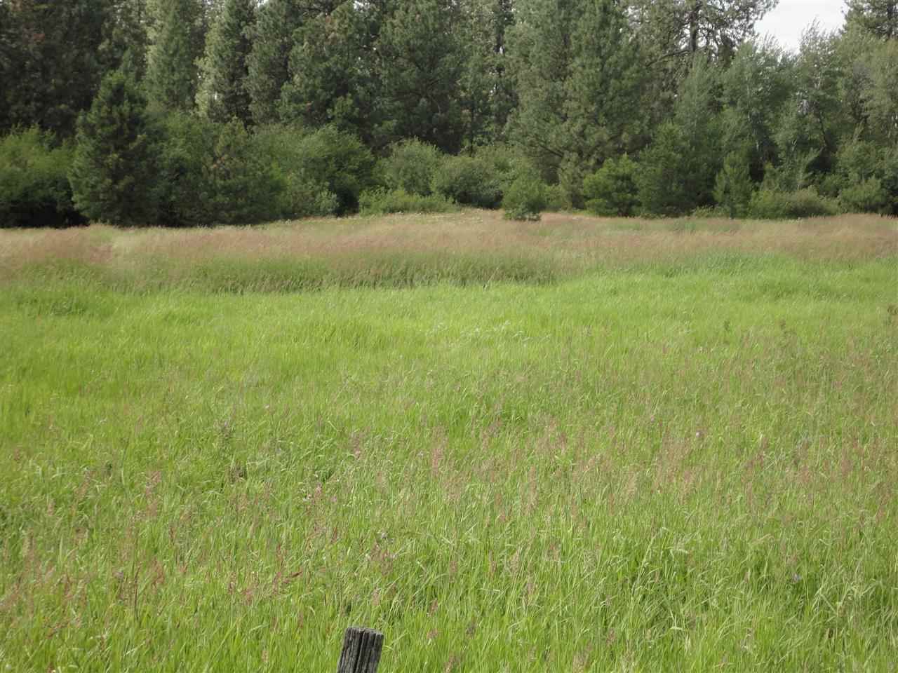 29212 South North Kentuck Trails Road Spangle, WA 99031 - Photo 3 of 15