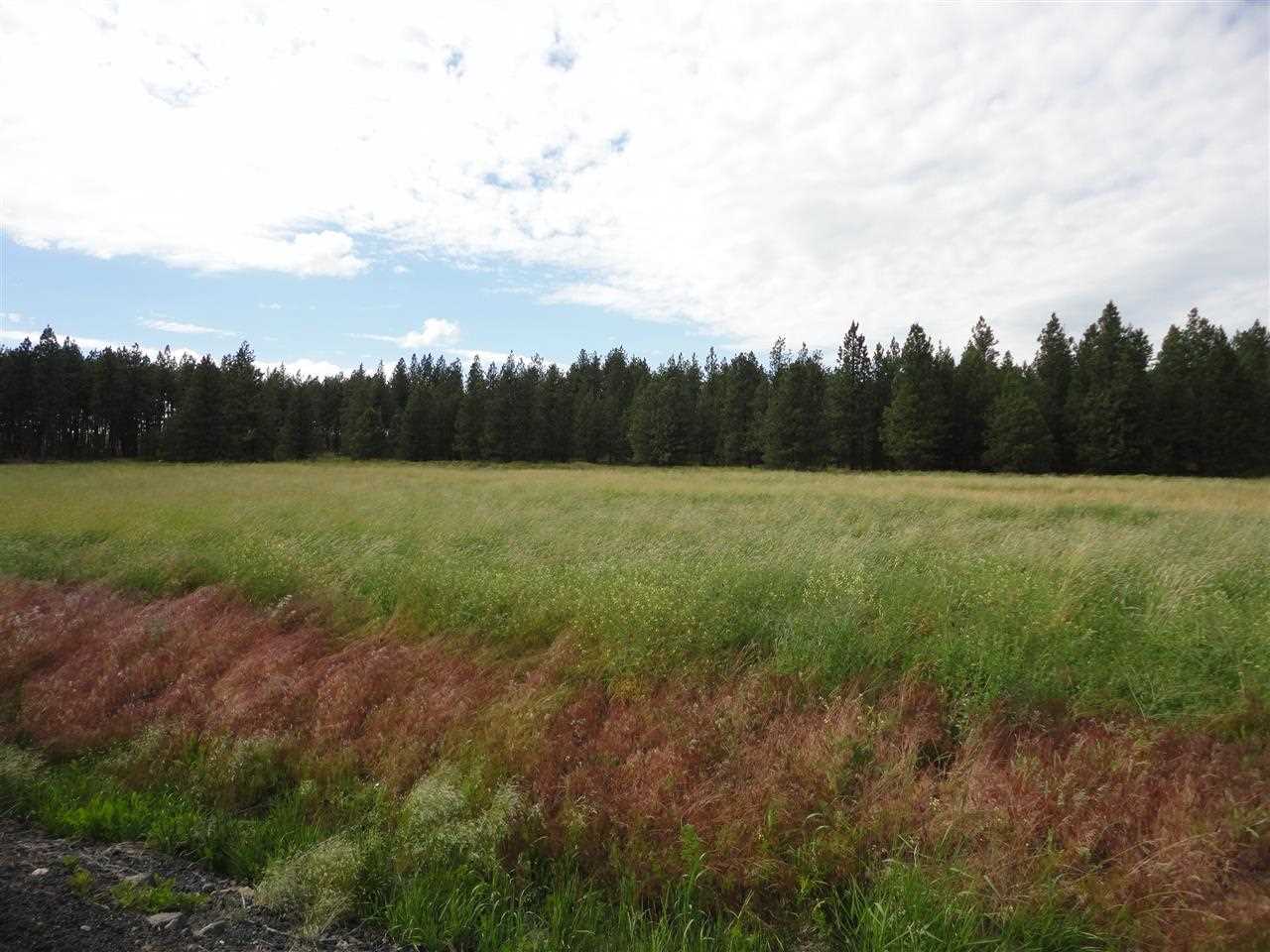 29212 South North Kentuck Trails Road Spangle, WA 99031 - Photo 4 of 15