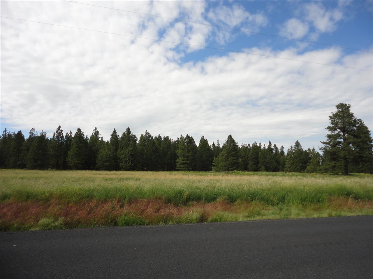 29212 South North Kentuck Trails Road Spangle, WA 99031 - Photo 5 of 15